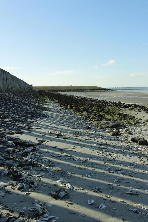 Zeeuwse Zot Bed & Breakfast Wissenkerke Bagian luar foto